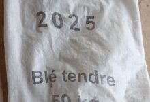 صورة التعتيم علي فساد مخزونات مفوضية الامن الغذائي