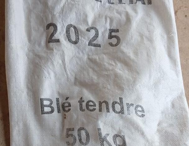 صورة التعتيم علي فساد مخزونات مفوضية الامن الغذائي